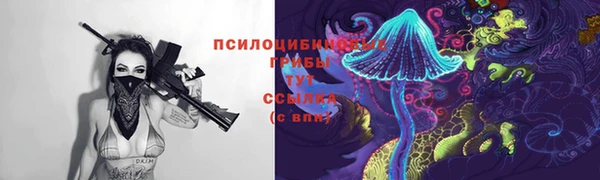 индика Чердынь