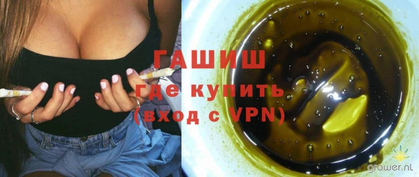 индика Чердынь